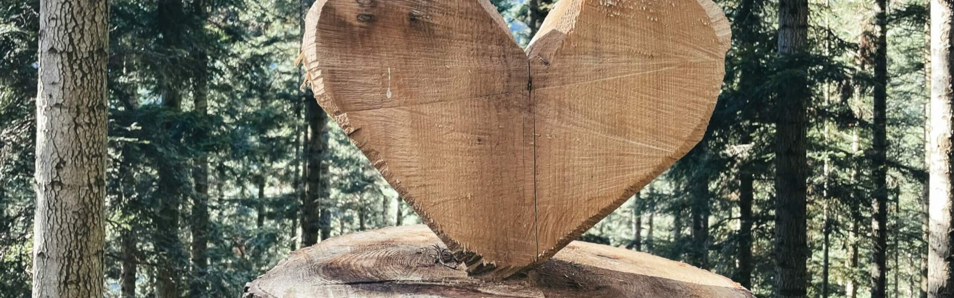 Herz aus Holz im Wald