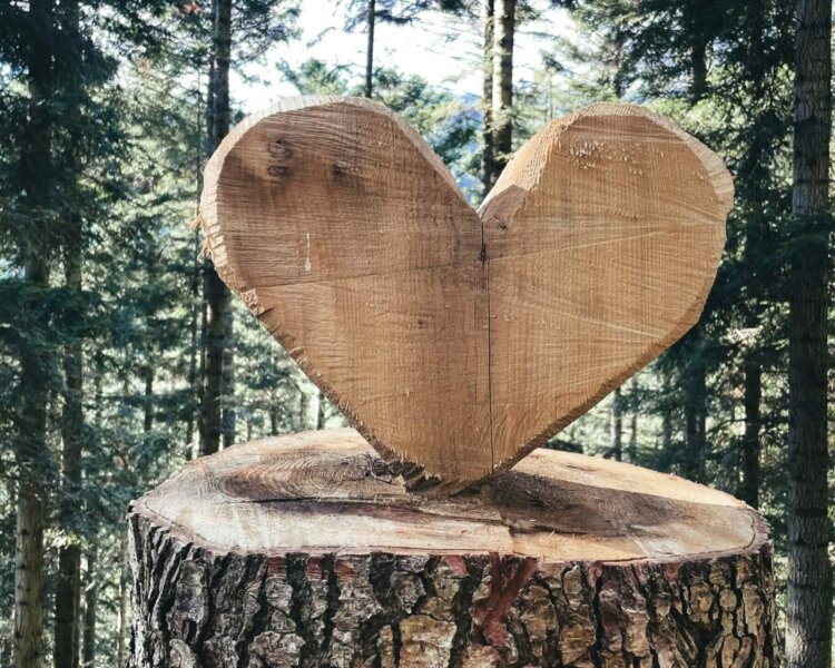 Herz aus Holz im Wald