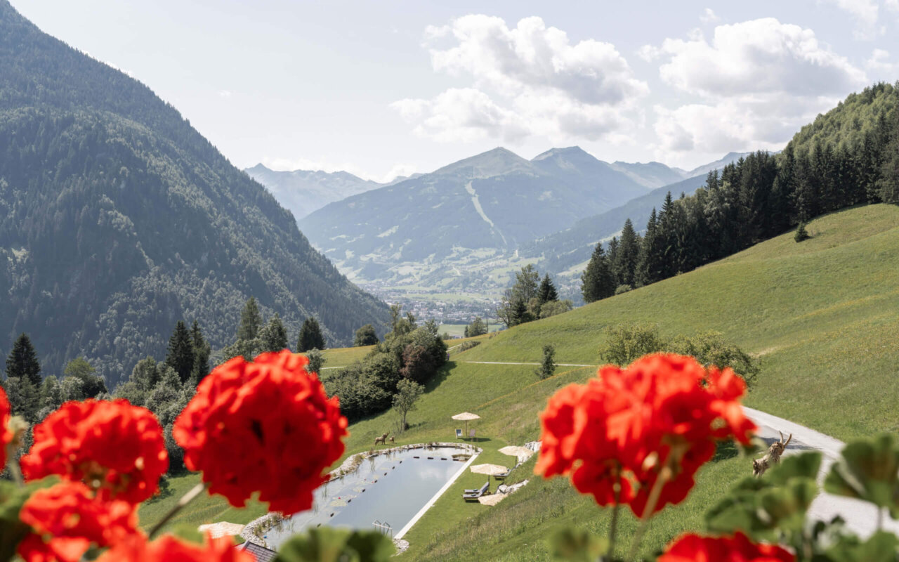 Das Grabnergut mit Blick auf das Gasteinertal