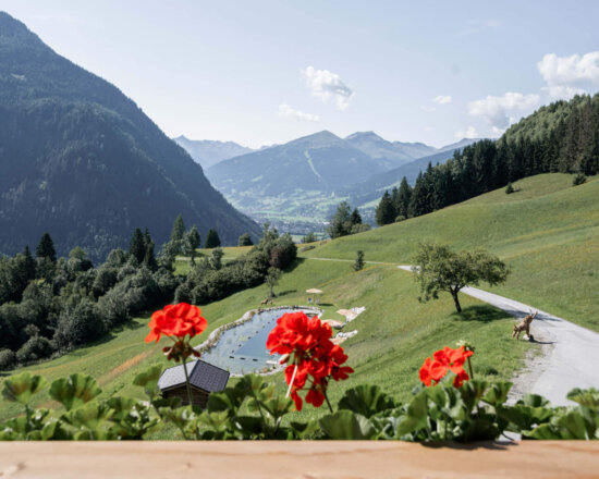 Das Grabnergut mit Talblick auf Bad Hofgastein
