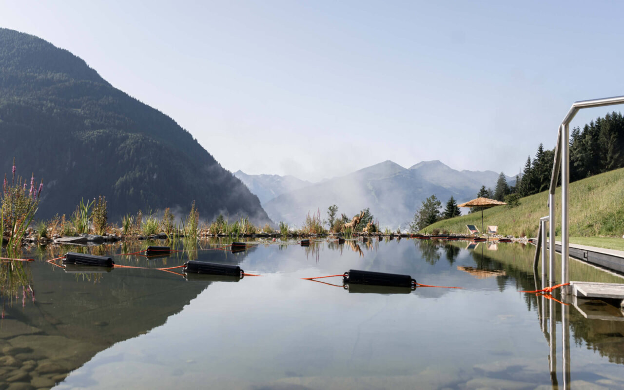 Closeup vom Naturteich am Grabnergut mit Bergpanorama
